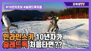 인라인스키 10년차가 슬레드독 처음타면 생기는 일 (자막)