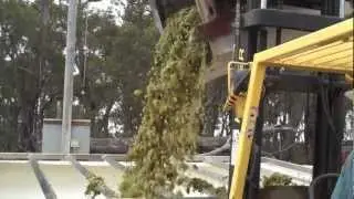 How to make Wine during Vintage 2010 at Galafrey Wines