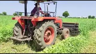 sesame harvesting 🚜PRIYA REAPER