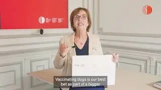 WOAH Director General Answers Most Google Question on Rabies