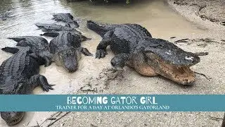 Becoming a Trainer for a Day at Gatorland® Orlando in Florida