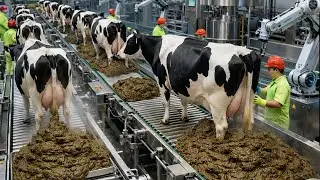 Inside the Cow Dung Power Factory | From Animal Waste to Electricity (Full Process)