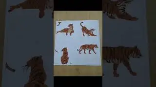 Animal pattern design 🐅🖤 #aesthetic #asmr #art #design #tiger