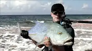 Monsterfischen auf der Spur-Im Riff der Haie