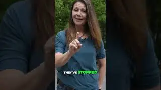 Заклинатель собак ~ Прекратите лай, установив зрительный контакт! #собачьяпсихология101