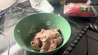 Video Experiment: Edible Experiments