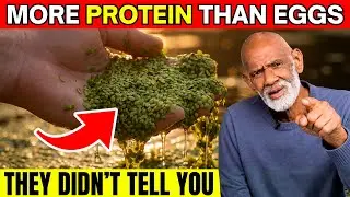 This Tiny Plant Has More Protein Than EGGS (And Governments Want It Gone)