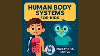 Bones & Muscles for Kids &mdash; Skeletal and Muscular System