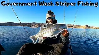 Government Wash Striped Bass Fishing!