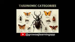 Taxonomic Categories #education#biology #biologyclass12