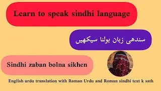 learn sindhi language daily use sentence |learn sindhi |Vd31