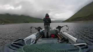 Three Small Ferox Trout - Catch and Release.