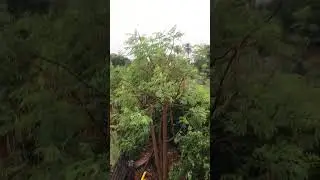 #weather #india #viral #ytshorts #youtubeshorts #trending #mrbeast