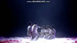 Dance champion