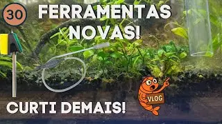 Limpando algas e removendo sujeira do substrato! | Vlog 30