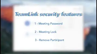 TeamLink Security Features