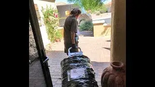 Road to the clean & odor-free oriental rug