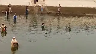 Net fishing in cold water 