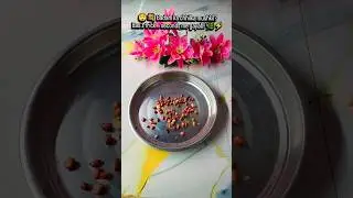 🥜🌿 Badam Peel Hack 😱 | 1-Second Almond Trick ⚡ #relatable #trending #shortsfeed