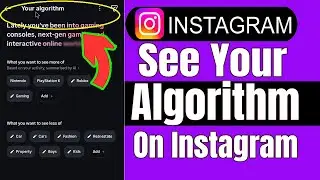 Как увидеть свой алгоритм в Instagram