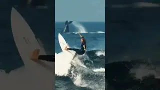 🌎 #surfer vs #whale ! slapping the #ocean