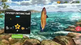 Fishing Clash Прямая трансляция    Live Show  Game Genie