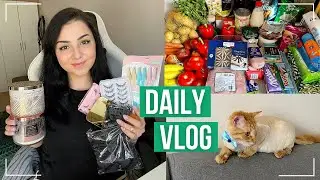 Daily Vlog | Haul Shein, Bath&Body Works, cumparaturi alimentare, l-am tuns pe Cookie