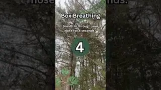 Box Breathing (Counting Down) #boxbreathing #breathingtechnique #relaxing #calming #nature #mmed