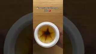 What is first slushy?