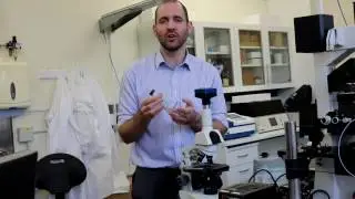Dr Wilson: Portable Microscope