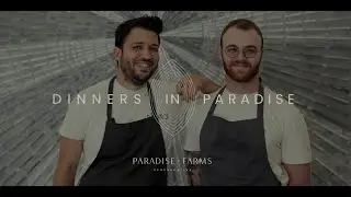 Dinners in Paradise: an iconic culinary encounter.