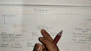 Pollination Explained | Biotic & Abiotic Agents | Class Biology
