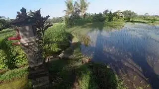 Bali Hash House Harriers. Hashing in Bali