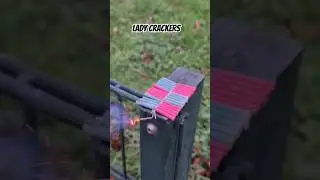 Lady Crackers || Bonbridge Vuurwerk