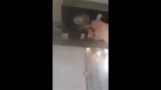 20th Century Fan