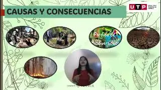 Avance de portafolio 2_Ashly Pashco Mishari