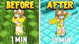 Minecraft, But The World Changes Every Minute!