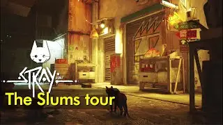 The Slums tour | Stray