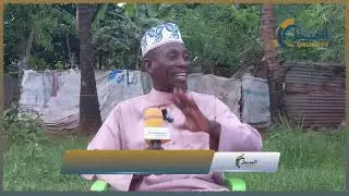 DODOSO - Sababu za ndoa nyingi kuvunjika mapema