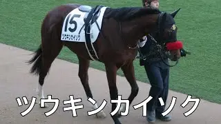 【現地撮影】2026年1月17日中山競馬場2Rツウキンカイソク&菅原明良騎手7着