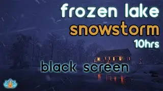 [Black Screen] Frozen Lake Snowstorm | Snow Storm and Howling Wind | Blizzard Sounds for Sleep