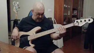 Beer Drinkers & Hell Raisers / Tush (bass cover)
