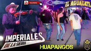 Llegaron los huapanguitos  a El Aguacate Qro con los Imperiales de la sierra 