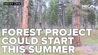 Forest Service officials eye summer start for Seeley Lake project