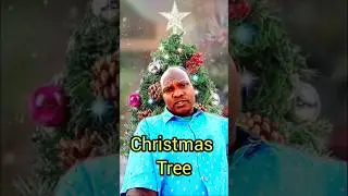 Christmas Tree Origin, Symbolism and Traditions #Short