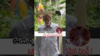 ఈయన్ని గుర్తుపట్టారా!#ashokkumar Latest Visuals #oseyramulamma #prabhas #eshwar #shorts #venkatesh