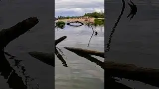WAIT FOR IT... Topwater Hit! Aussie Bass