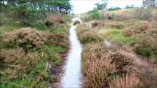 Groene Wissel-wandeling door de Schoorlse Duinen vanuit Bergen