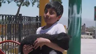 no quise perder a mi mama, por eso hice esto