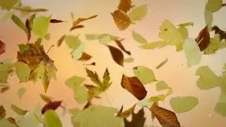 Falling Autumn Leaves Background Seamless Loop